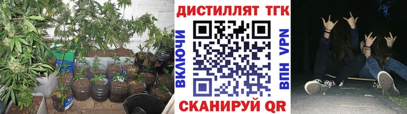 ТГК концентрат Санкт-Петербург