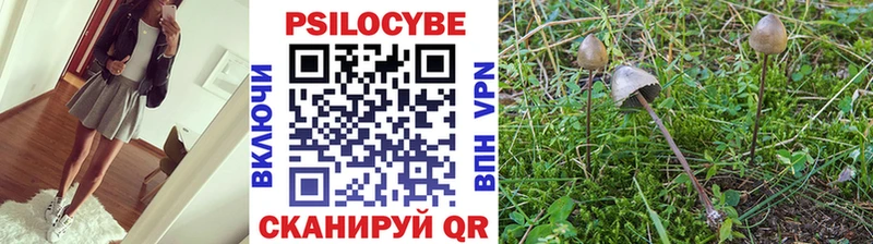 Галлюциногенные грибы Psilocybe  Санкт-Петербург 